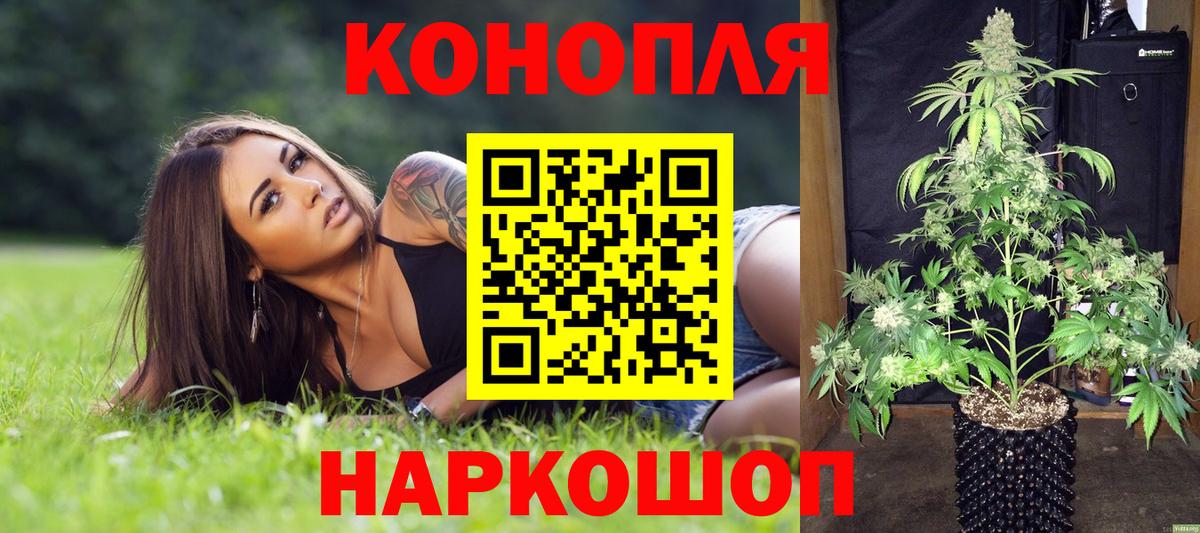 Бошки марихуана OG Kush Астрахань